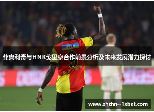 菲奥利奇与HNK戈里察合作前景分析及未来发展潜力探讨